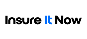 Insure it Now Client Logo
